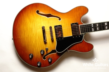 T486 - Gold Burst