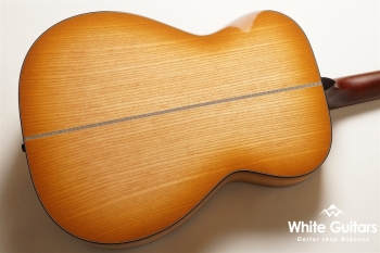 HF-531 Coffee SF,S/STD - CLB