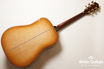 HD-531 Coffee SF, S/STD - CLB