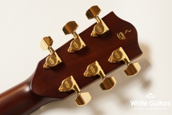 HD-531 Coffee SF, S/STD - CLB