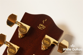 HD-531 Coffee SF, S/STD - CLB