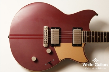 RS820CR - Steel Rust