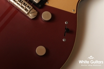 RS820CR - Steel Rust