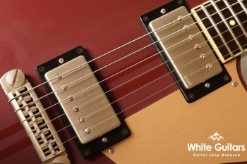 RS820CR - Steel Rust