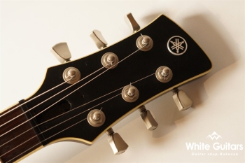 RS820CR - Steel Rust