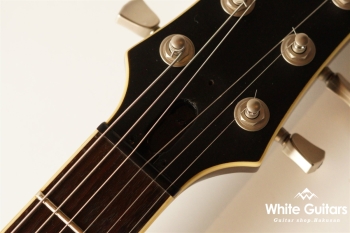 RS820CR - Steel Rust