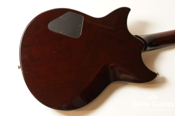 RS820CR - Steel Rust