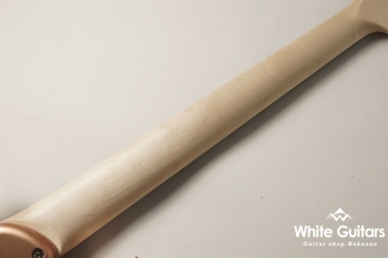 XJ-1T 6st - Shoreline Gold - Medium Aged/Ash/Rose #2908