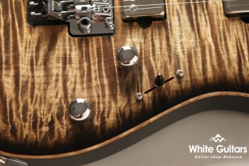 Modern Pro Floyd - Trans Charcoal Burst