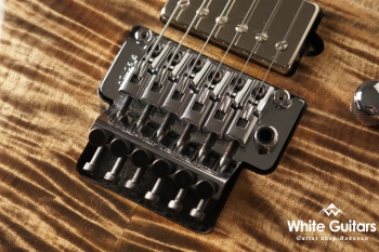 Modern Pro Floyd - Trans Charcoal Burst