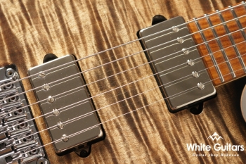 Modern Pro Floyd - Trans Charcoal Burst