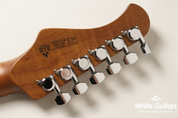 BSH-AGED/RSM - BLK-AGED