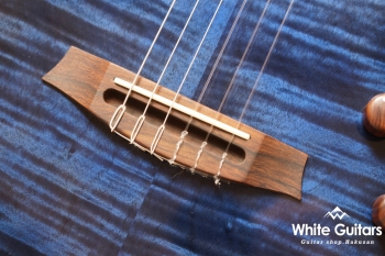 Cordoba  STAGE GUITAR  BLUE BURST