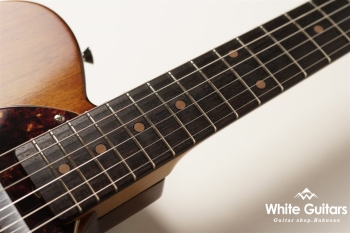 g7-TLT/R - Chocolate Walnut