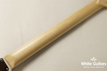 MJS1-STD/R - SWH / Tortoise PG MOD