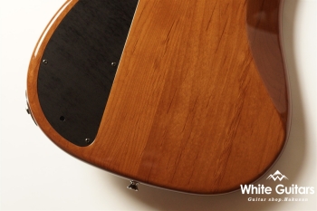 XP-1T - Walnut / Super Light Aged