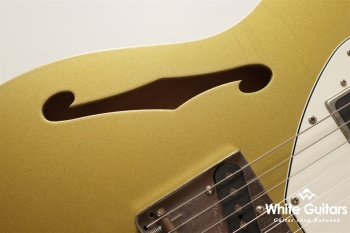 TRAD MASTER DELTA-CP/BB - Shoreline Gold -  Light Aged #24C24