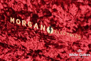 MVT-Pro - 3Tone Burst #0006 