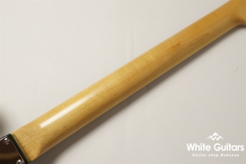 TE-C - Ocean Turquoise