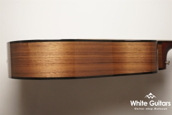 Hummingbird Walnut M - Walnut Burst