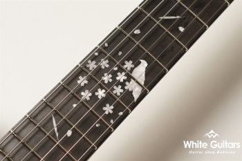 MT-FUYUZAKURA WSE’24/E