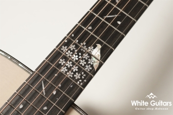 HF-NOTOZAKURA’24 SF,S-ESU/ATB