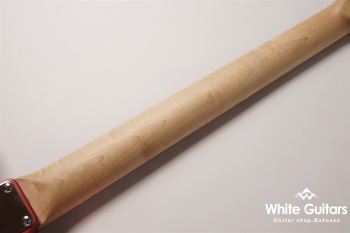 Stay 24F 2H - Passion Orange Matte