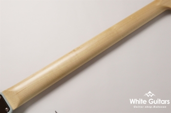 MP2-STD/M - Sonic Blue Blonde / Tortoiseshell PG