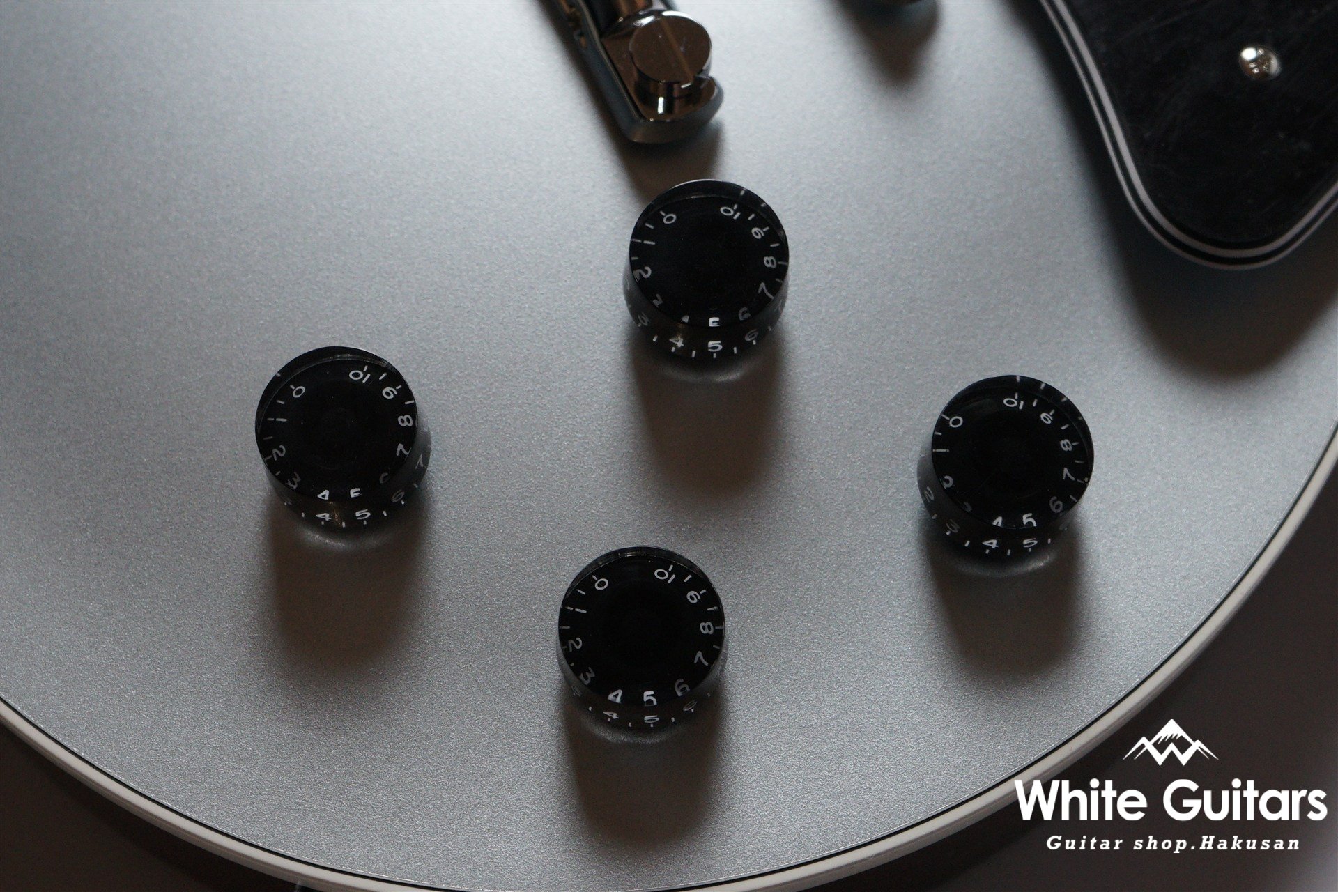 DUKE Year Of The Snake - IBM-PF