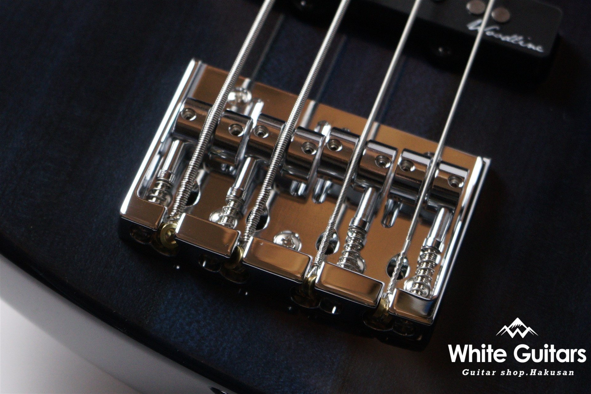 WOODLINE-HOLLOW4 FUYUZAKURA WSE’25/E - BL/YZ-GRD