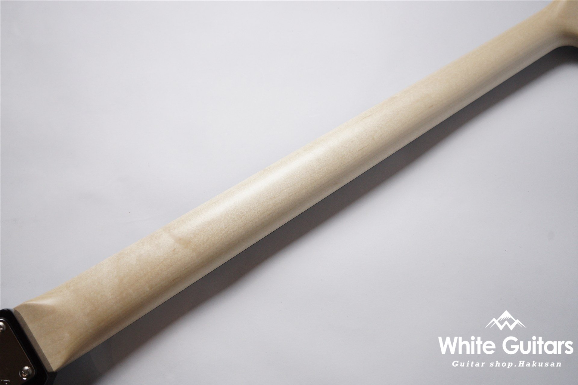 WOODLINE-HOLLOW4 FUYUZAKURA WSE’25/E - BL/YZ-GRD