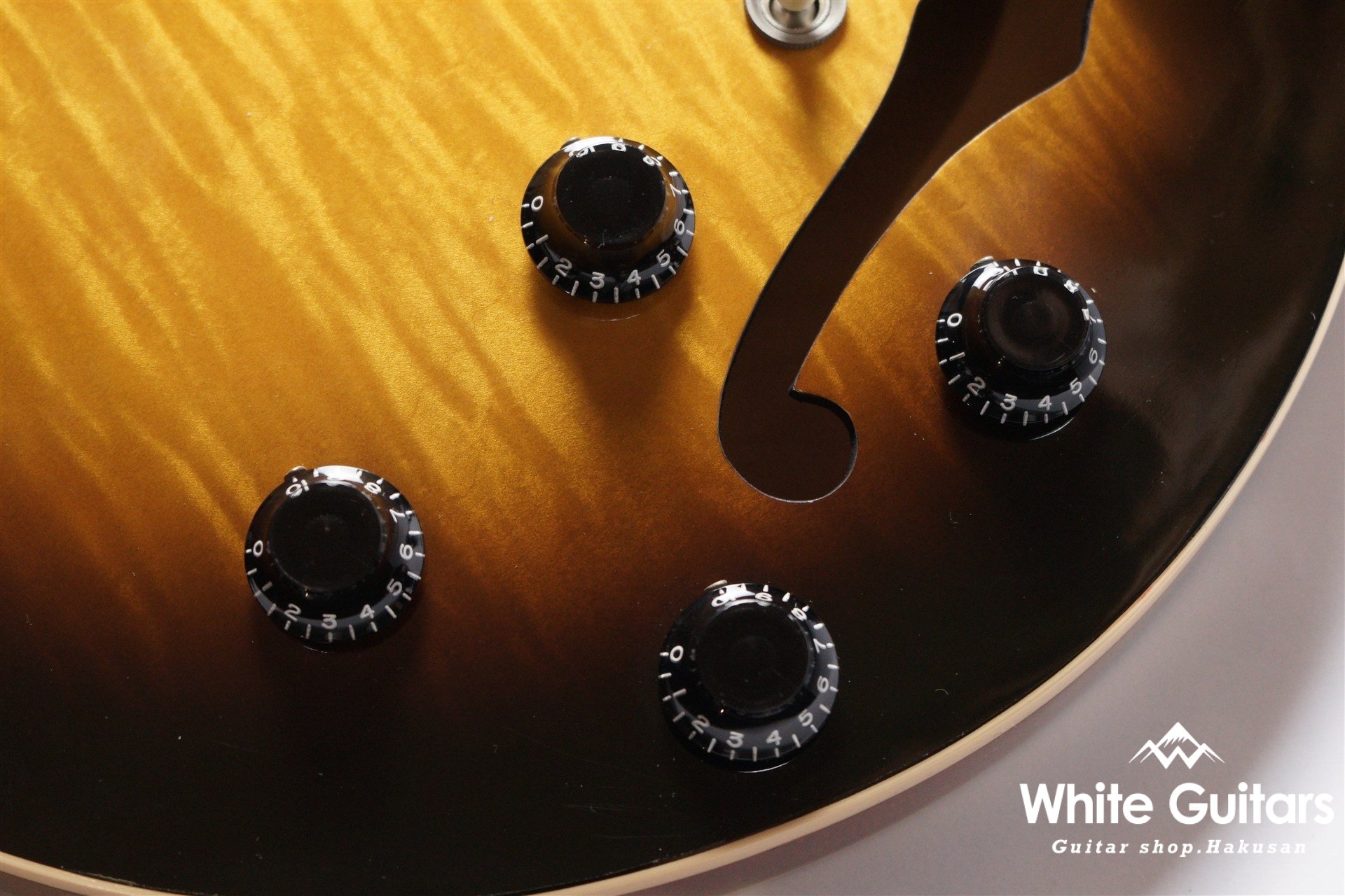 ESDT-335 (ES-335 Dot) - Vintage Sunburst