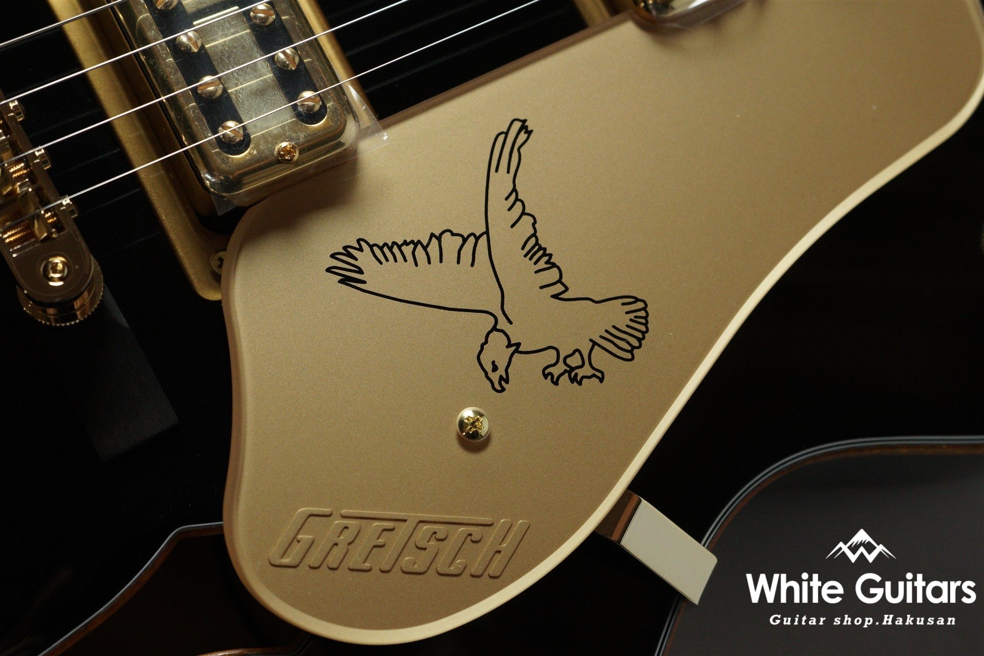 Synchromatic Falcon Hollow Body Single-Cut with Bigsby - Black