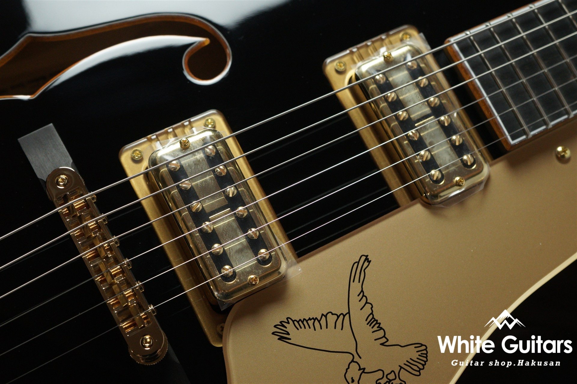 Synchromatic Falcon Hollow Body Single-Cut with Bigsby - Black