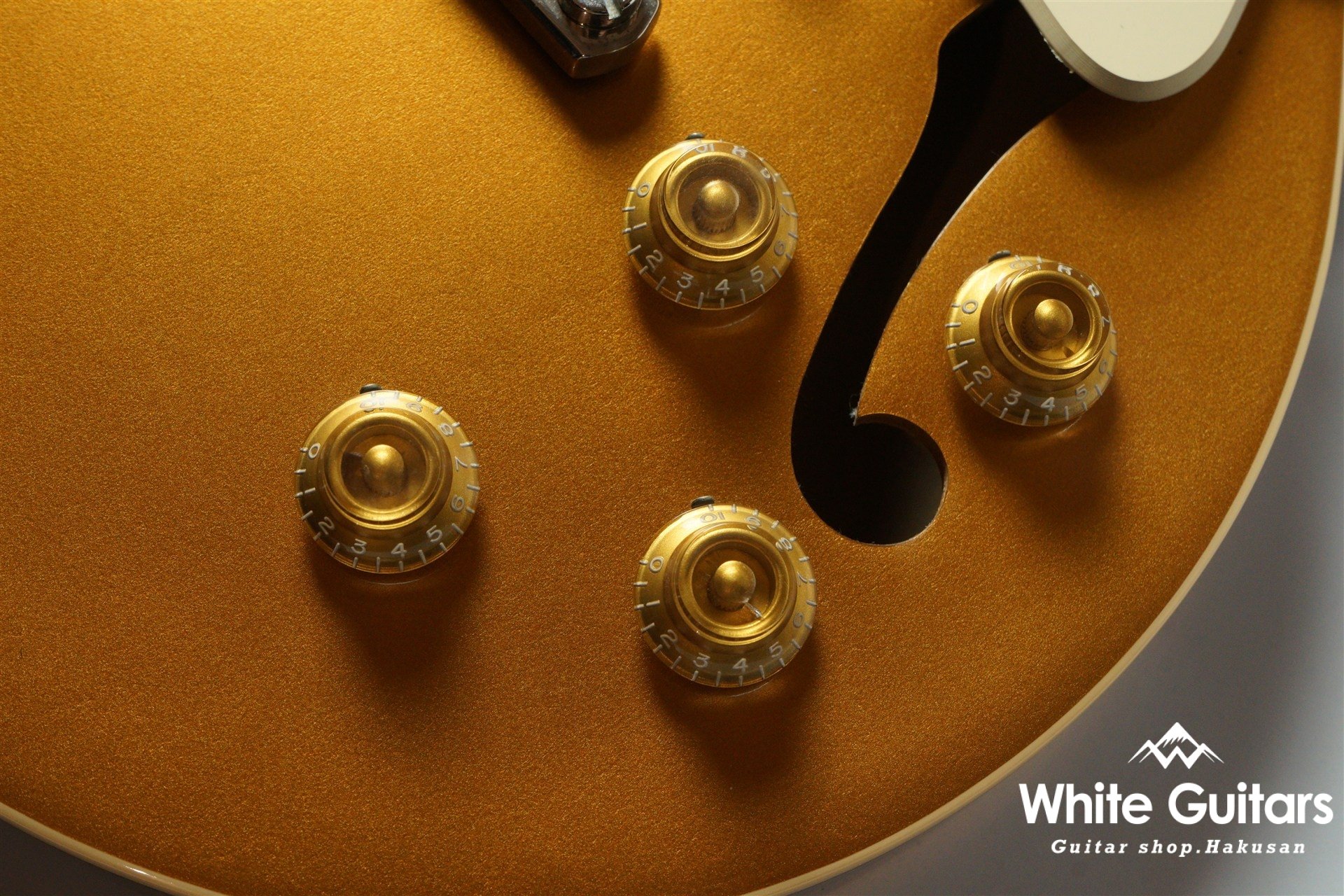 ES-Les Paul P90 - Gold Top