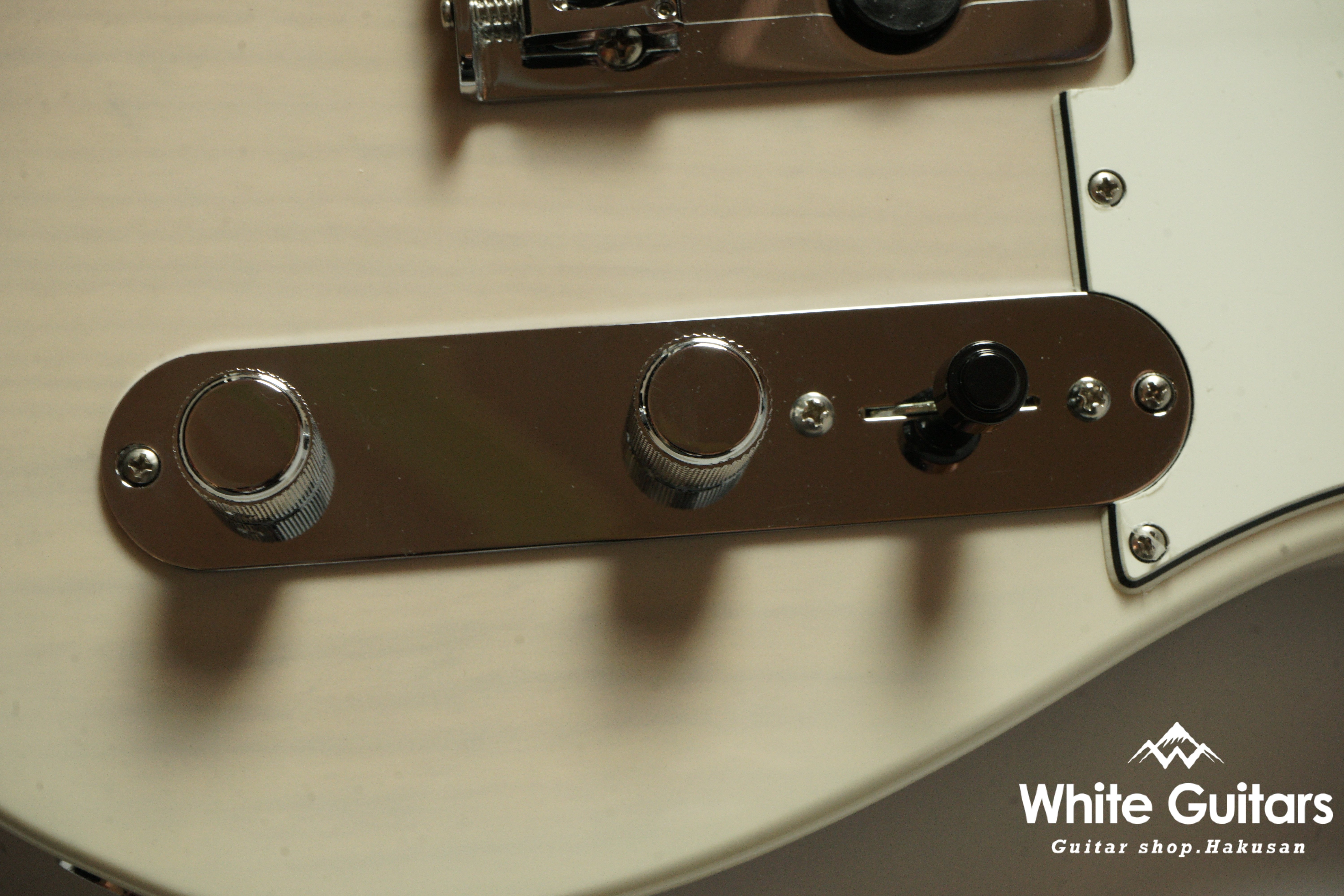 Player II Telecaster Rosewood