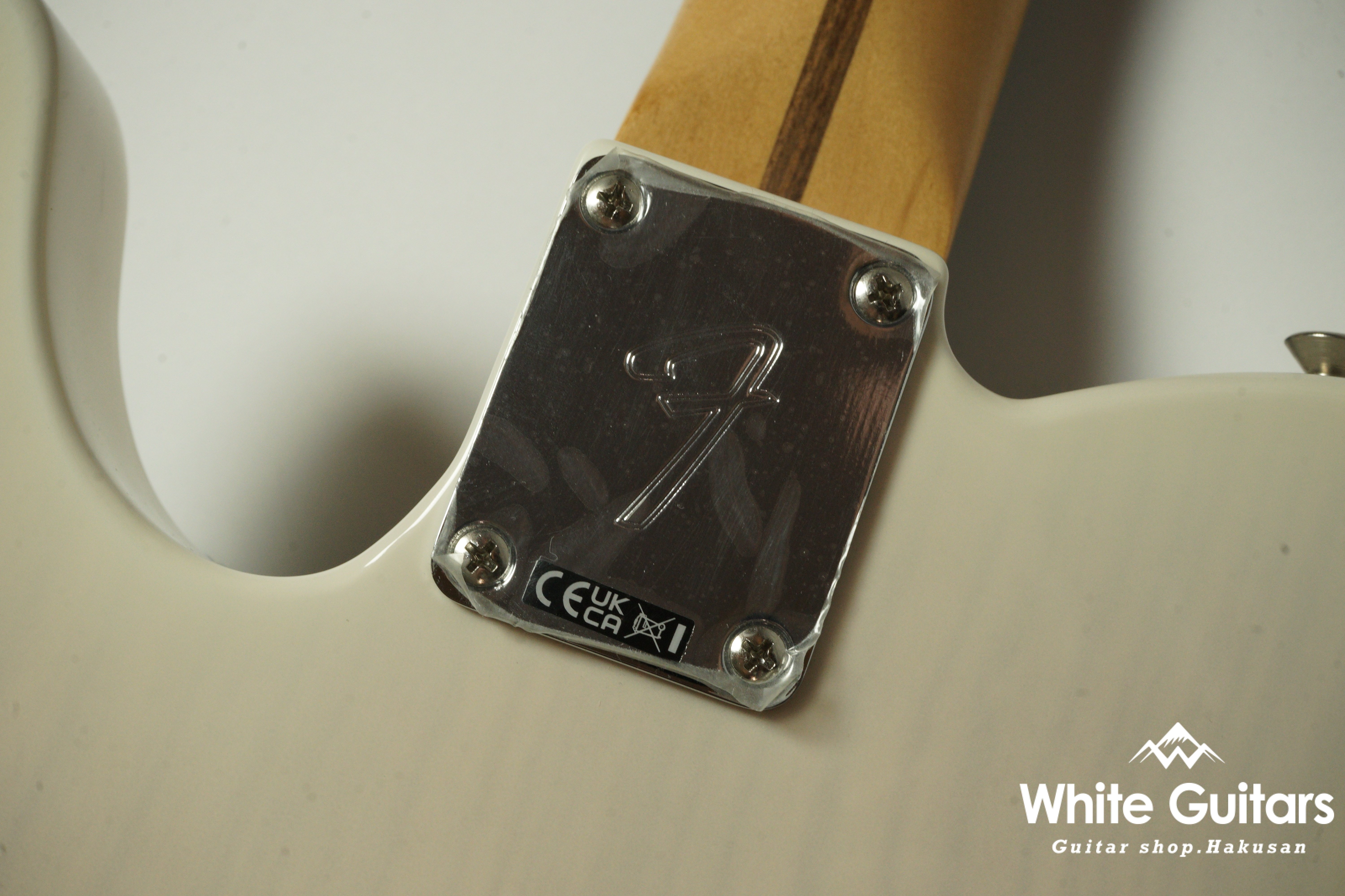 Player II Telecaster Rosewood