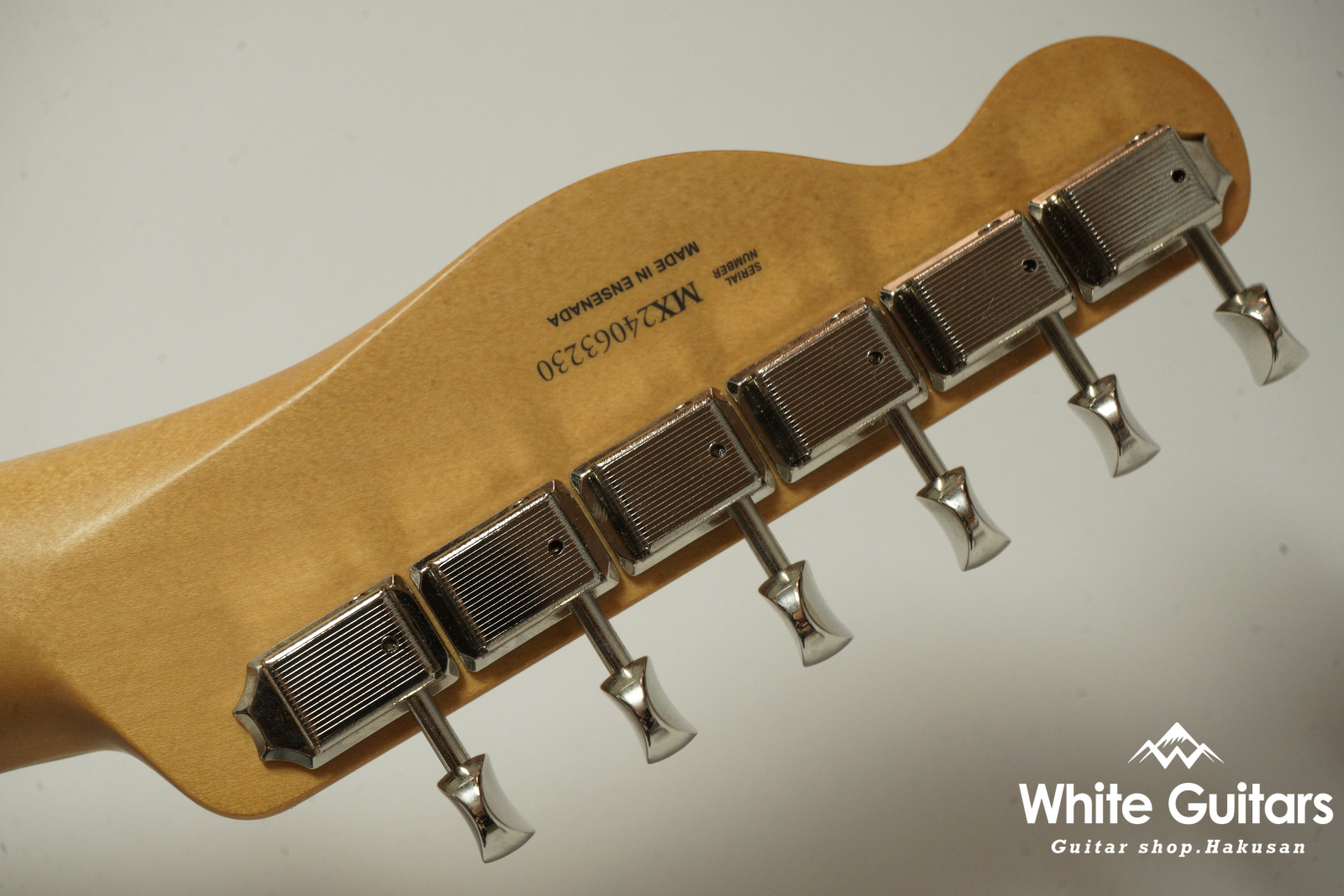 Player II Telecaster Rosewood