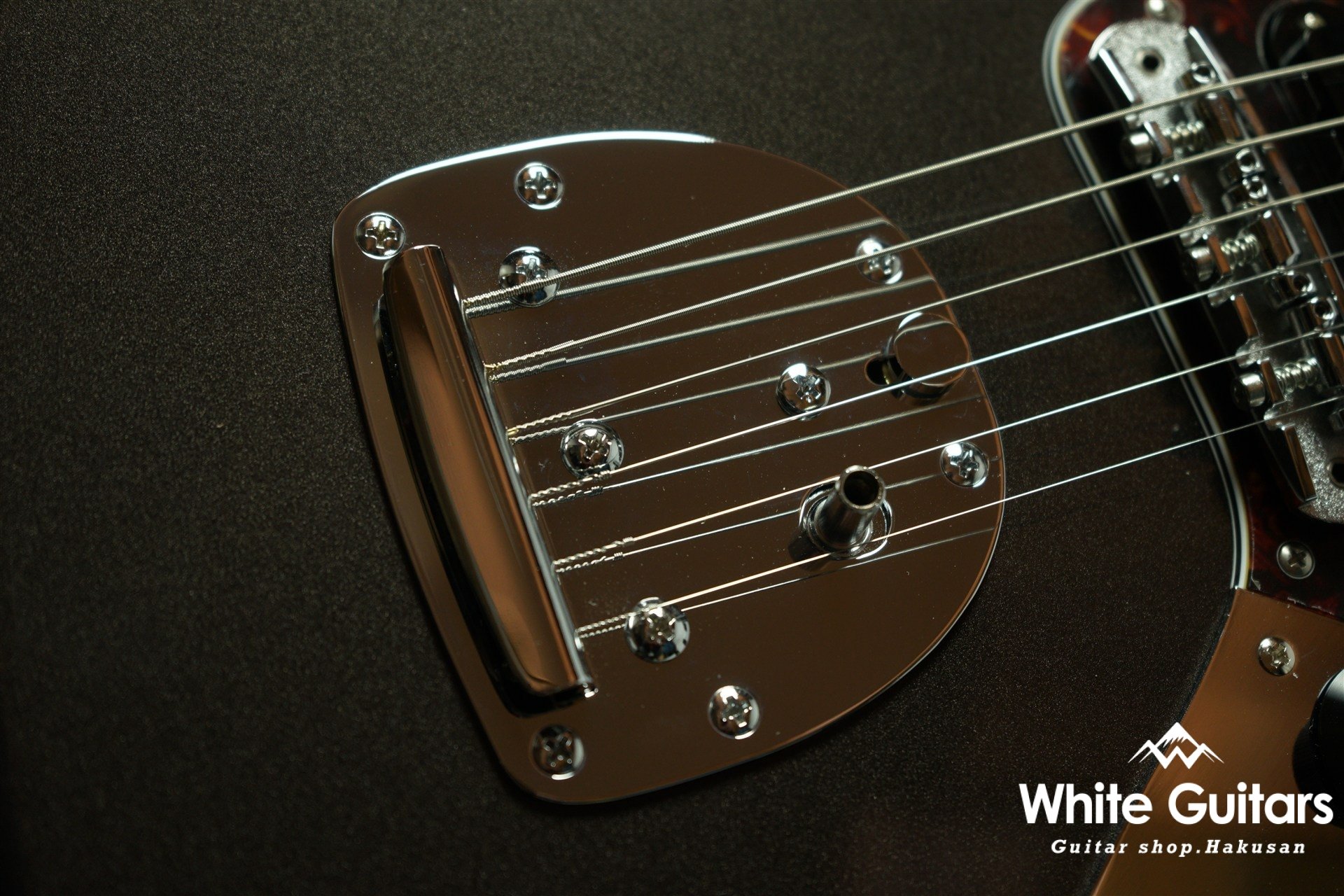 Cheetah - Charente Gray Meta