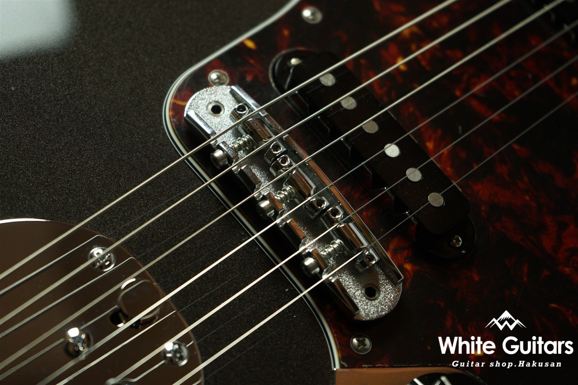 Cheetah - Charente Gray Meta