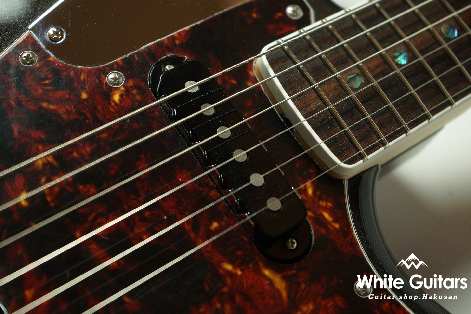 Cheetah - Charente Gray Meta