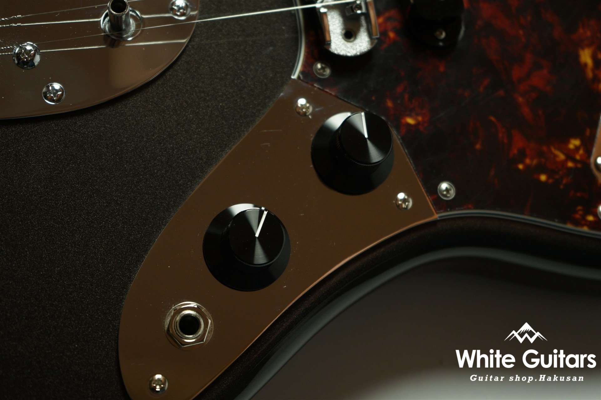 Cheetah - Charente Gray Meta