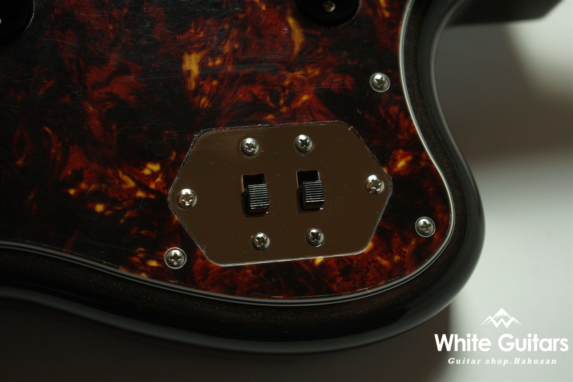 Cheetah - Charente Gray Meta