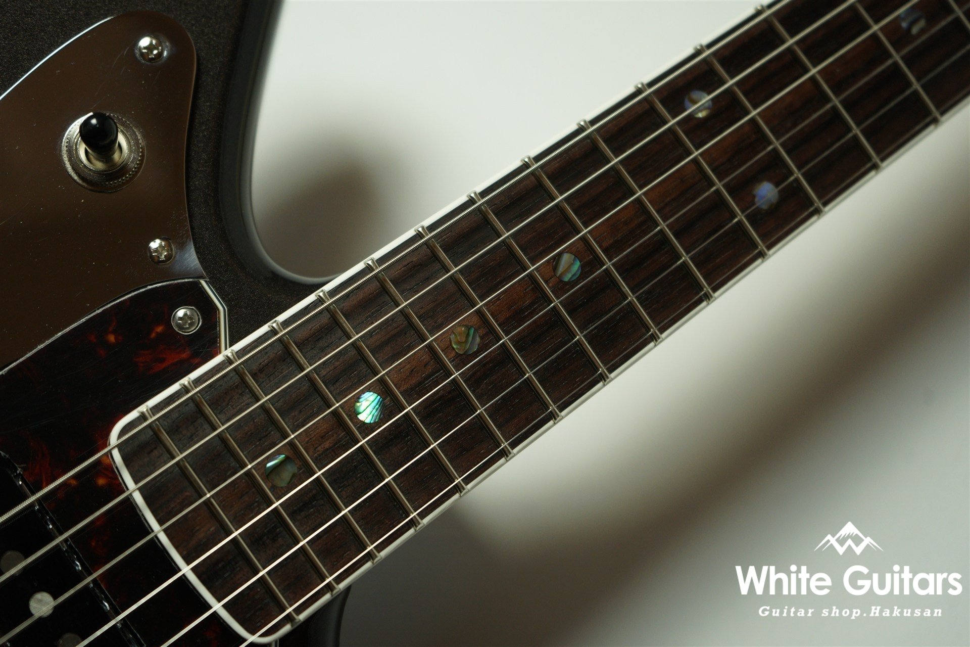 Cheetah - Charente Gray Meta