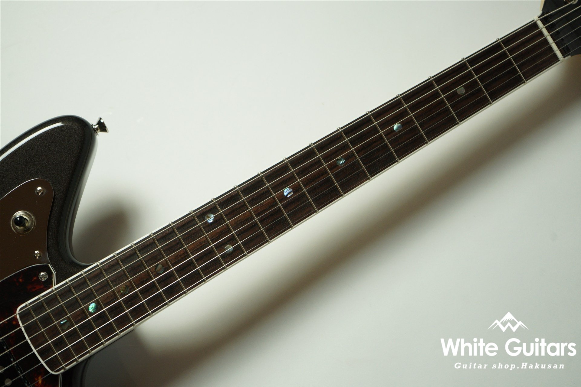 Cheetah - Charente Gray Meta