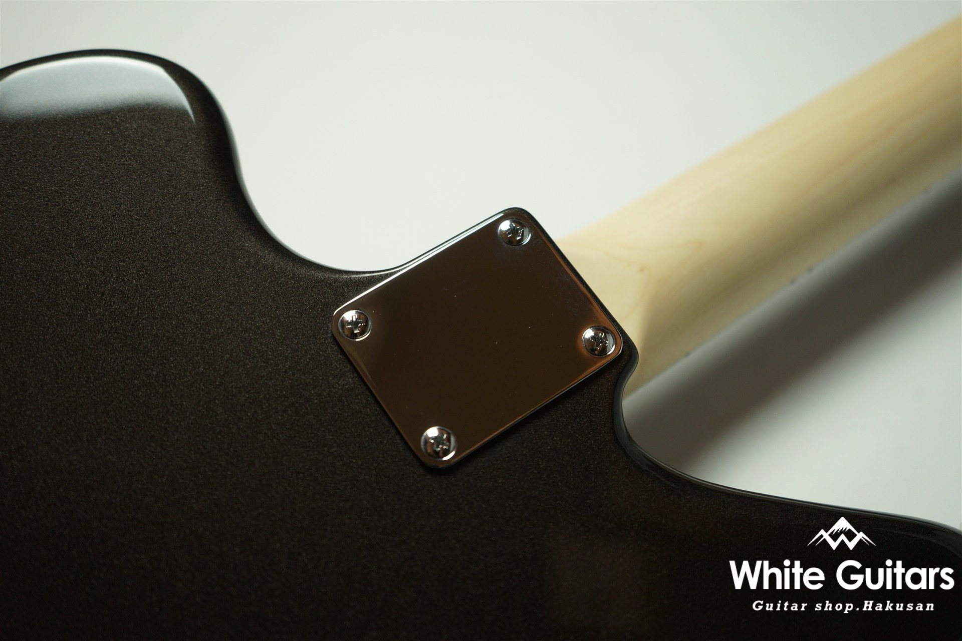 Cheetah - Charente Gray Meta