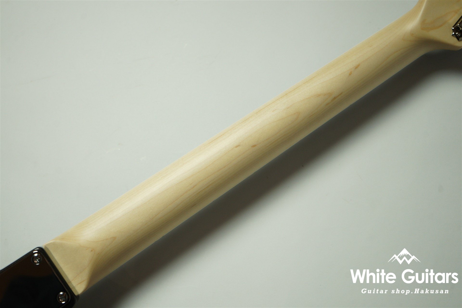 Cheetah - Charente Gray Meta