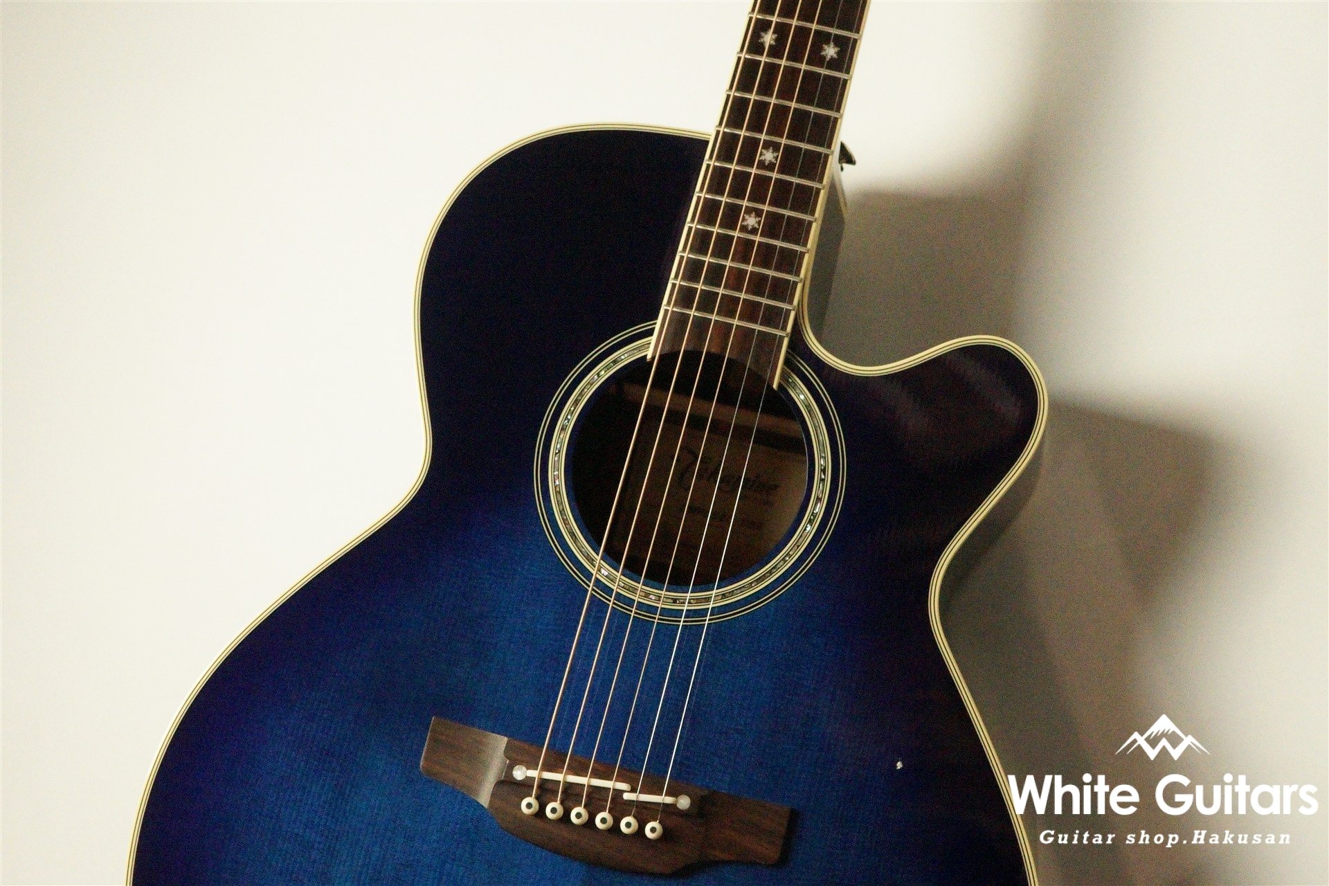 Takamine DMP552C - DBS | White Guitars Online Store