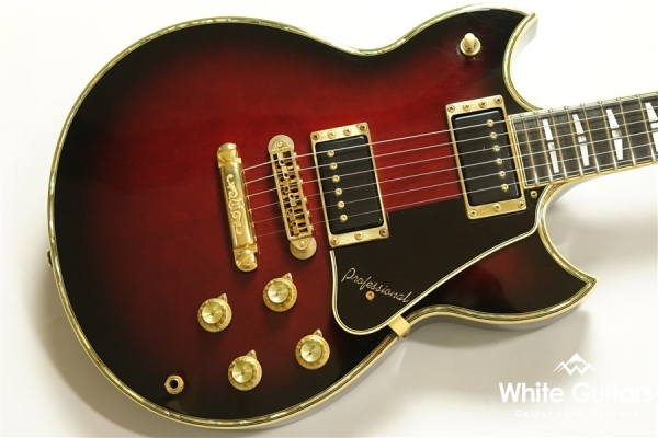 SG3000 Custom - WR