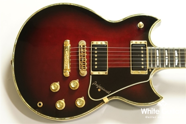 SG3000 Custom - WR